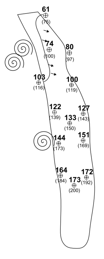 Yardage book sample page